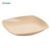 Đĩa nhựa phíp vuông Thái Việt Nhật 1288 - anh chinh dien