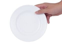 Đĩa nhựa phíp tròn Việt Nhật 1206 ✅ Giá Xưởng 5 Đĩa nhựa phíp tròn Việt Nhật 1206 - goc nghieng