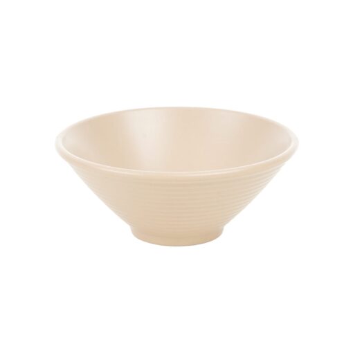 TRANG CHỦ 17 Tô xoắn Thái đại nhựa phíp Việt Nhật 6845 - Khuyến mãi