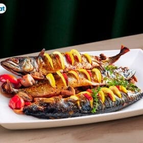 Đĩa nhựa phíp chữ nhật hai màu Việt Nhật 1268 - goc nhin tren