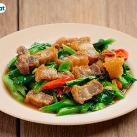 Đĩa nhựa phíp tròn Việt Nhật 1229 - goc nhin tren