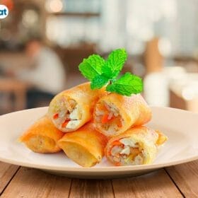 Đĩa nhựa phíp tròn Việt Nhật 1228 - goc nhin tren