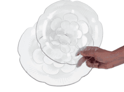 Đĩa hoa Thái 2T5 Hokori nhựa Việt Nhật 1174 ✔ Bán Sỉ 5 Đĩa hoa Thái 2T5 Hokori nhựa Việt Nhật 1174 - goc nghieng